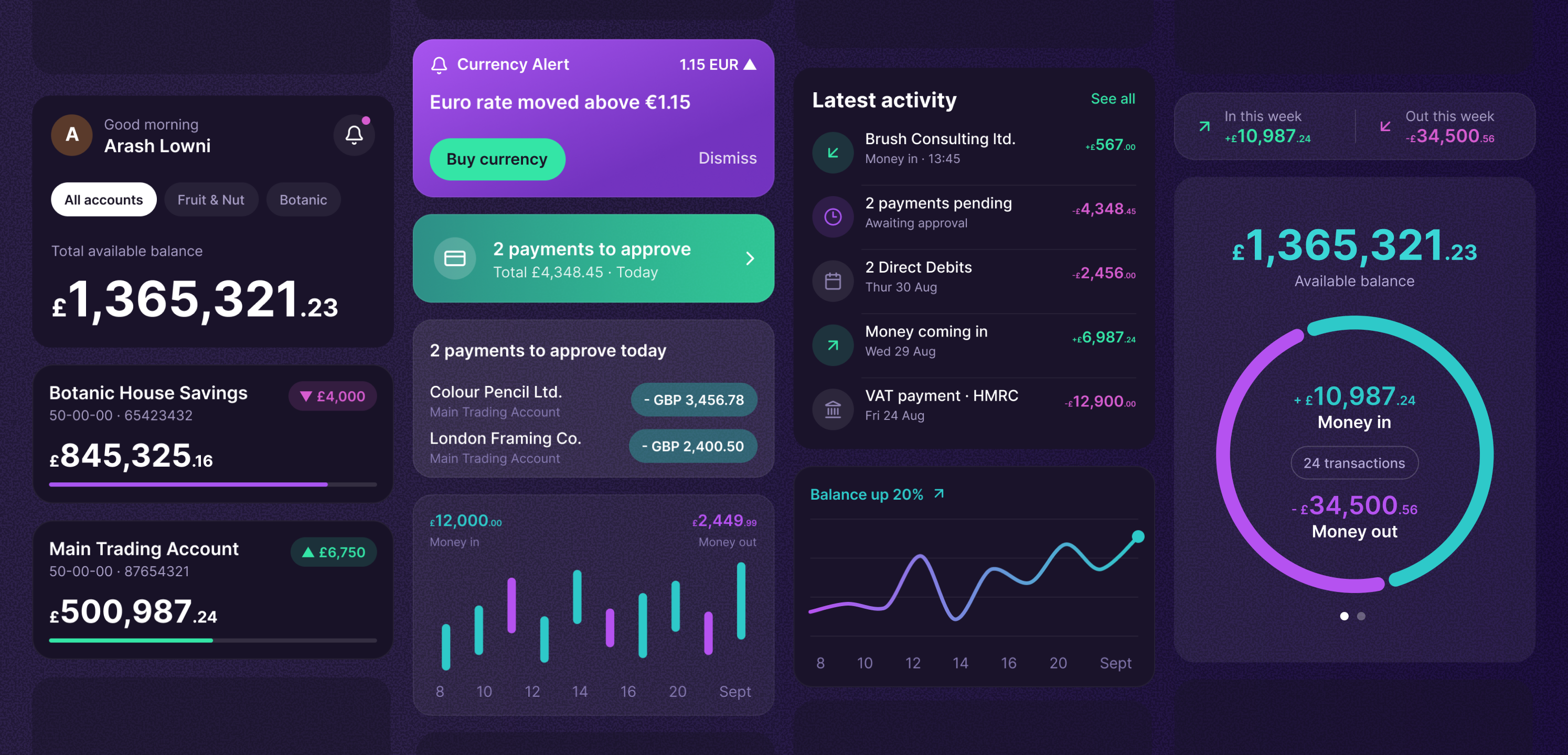 The customisable dashboard: widgets for balance, cash flow, payments to approve, latest money in and alerts.