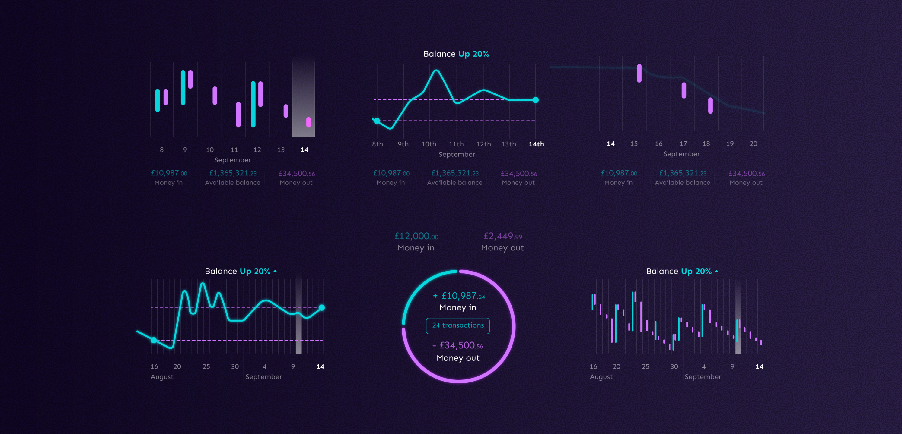 Data visualisation: the cashflow wheel, candlestick charts and balance-trend lines.